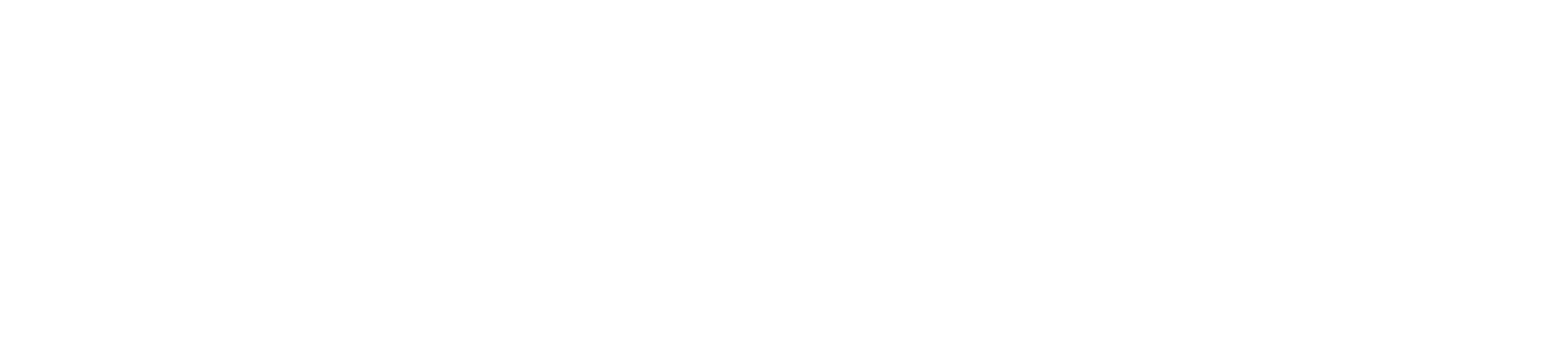Physiotherapie Wohlen logo
